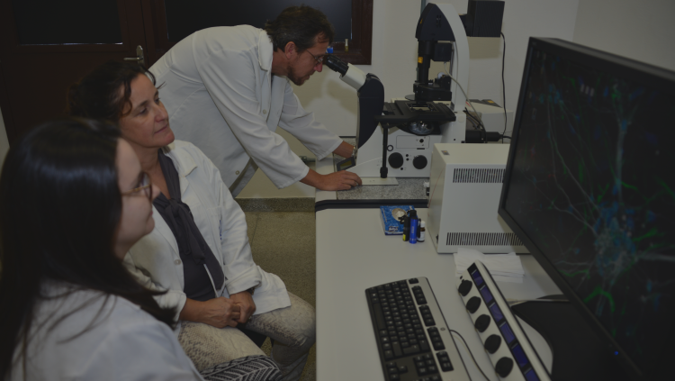 Ceme-Sul (“Electronic Microscopy Center”) begins to operate.
